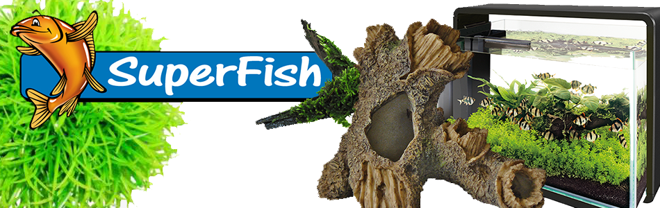 Banner A SuperFIsh v3